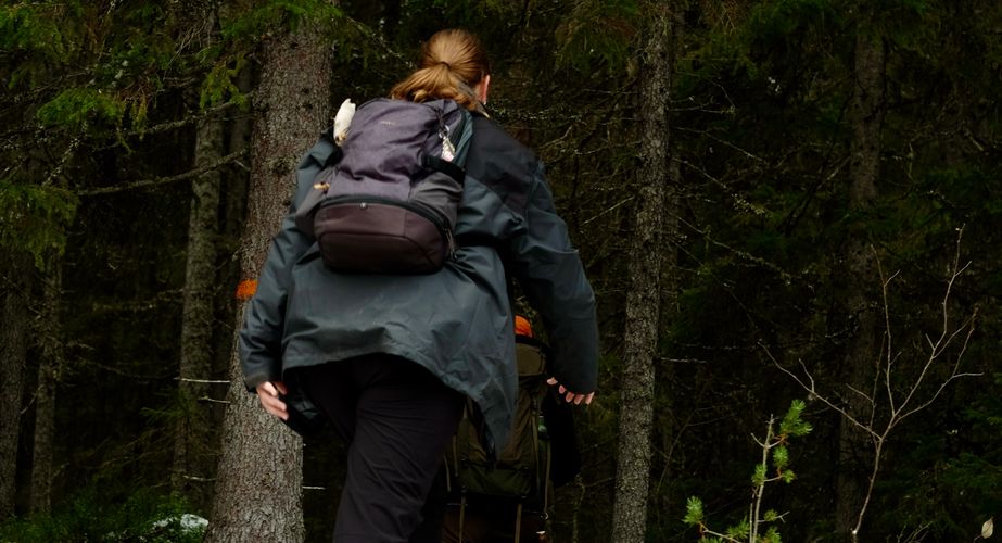 Wandeling in de natuur